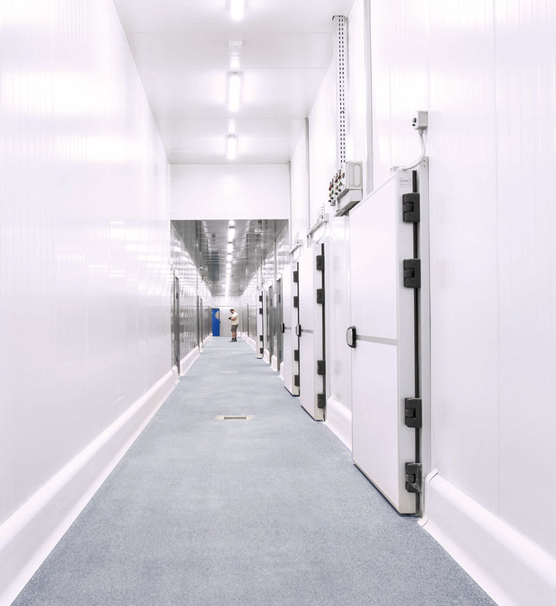 The-Ultimate-Sanitary-Coving-for-Food-Processing-Plants, Meat processing facility flooring, Washdown compliant sanitary base